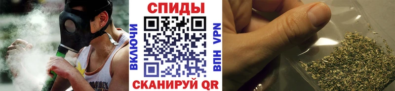 Купить где  Сызрань  Бутират BDO 