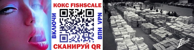 Купить  Сызрань  Cocaine Fish Scale 