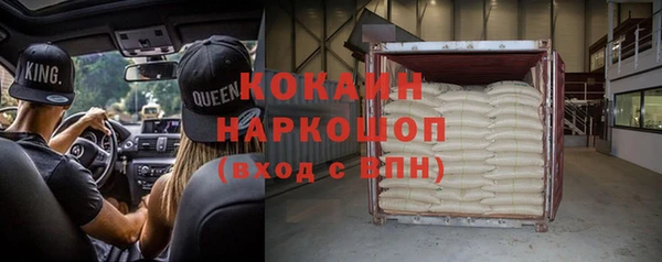 ПСИЛОЦИБИНОВЫЕ ГРИБЫ Корсаков